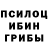 Конопля гибрид Sabit Sabitovich