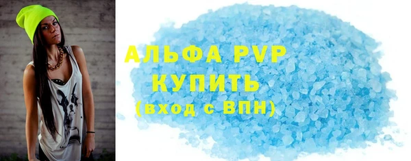 индика Абаза