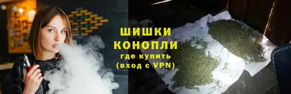 сатива Алексин
