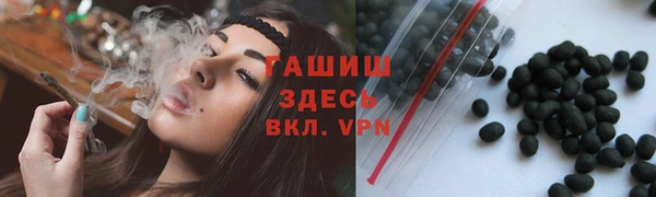 индика Абаза