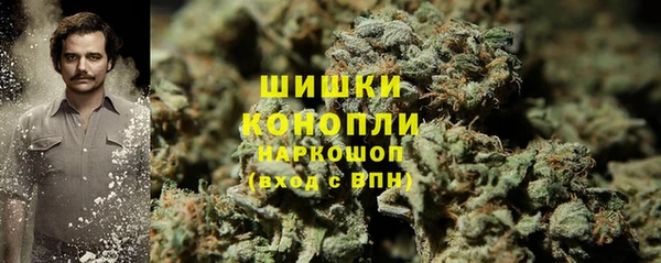 индика Абаза