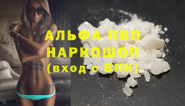 индика Абаза