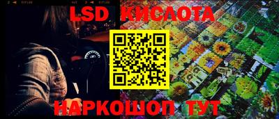 мдпв Кингисепп