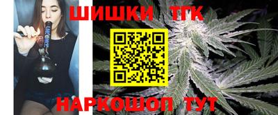 мдпв Кингисепп