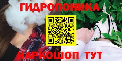 мдпв Кингисепп