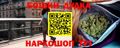 мдпв Кингисепп