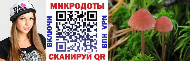 закладки  Иркутск  Псилоцибиновые грибы Psilocybe 