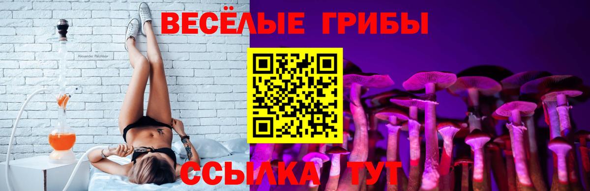 Иркутск  Псилоцибиновые грибы мицелий  Вход с VPN 